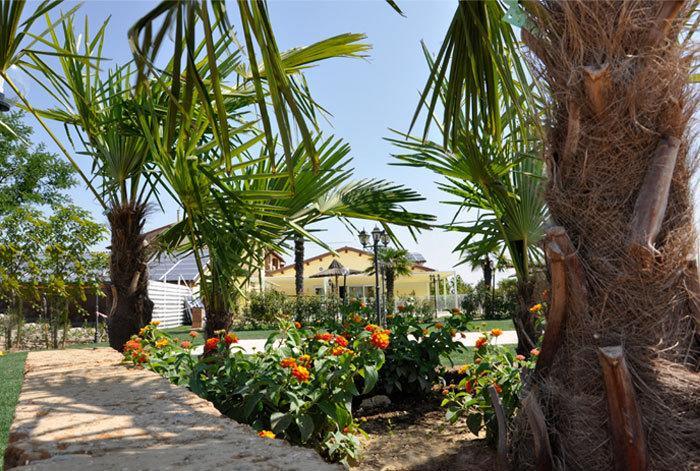 Locanda Del Lupo Faenza Exterior photo